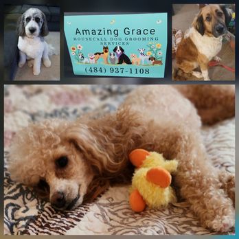 Amazing Grace Grooming Salon - Pet Groomers Near Me - Northampton, Pennsylvania Amazing Grace Grooming Salon - Pet Groomers Near Me - Northampton, Pennsylvania