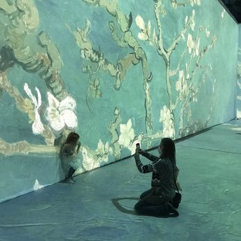 Beyond Van Gogh: the Immersive Experience - Art Installation Near Me - Albuquerque, New Mexico