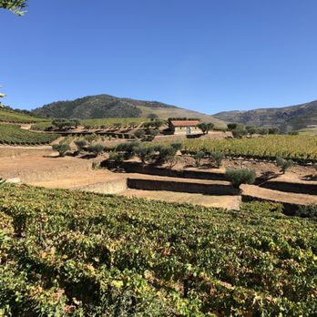 Croft Port - Wineries Near Me - Vila Nova de Gaia, 13 Croft Port - Wineries Near Me - Vila Nova de Gaia, 13
