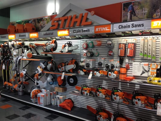 Bobcat of the Rockies