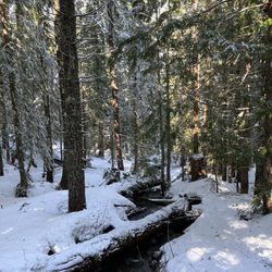 Mirror Lake Trail