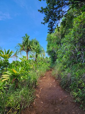 Ha'ena State Park by null