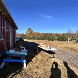Fraser Orchard and Tree Farm - Where the ticket exchange occurs