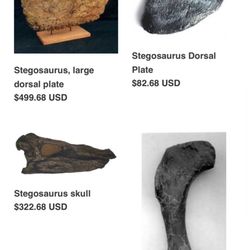 Dino Encounters - No where does it say replicas