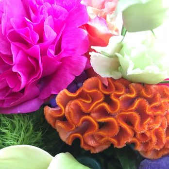 Enchanted Florist - Florists Near Me - Fort Worth, Texas Enchanted Florist - Florists Near Me - Fort Worth, Texas
