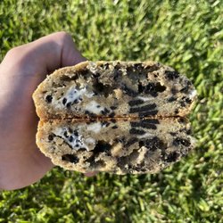 The Groovy Cookie