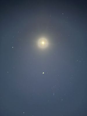 Panamint Springs Resort by null