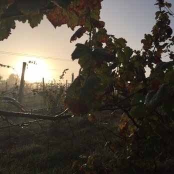 Spring Gate Vineyard - Haunted Vineyard Crawl Event on Halloween - Wineries Near Me - Harrisburg, Pennsylvania Spring Gate Vineyard - Haunted Vineyard Crawl Event on Halloween - Wineries Near Me - Harrisburg, Pennsylvania