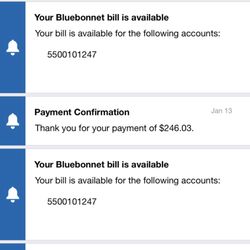 Bluebonnet Electric - Showing past payments