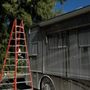 Photo of Perfect Finish Mobile Detailing