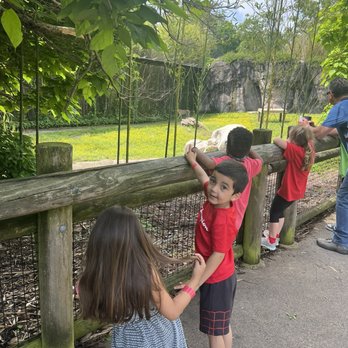 Gloria Dei Lutheran Childcare - Zoo field trip! - Elementary Schools Near Me - Hampton, Virginia Gloria Dei Lutheran Childcare - Zoo field trip! - Elementary Schools Near Me - Hampton, Virginia