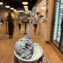 salted cookies & cream + cheesecake salted cookies & cream + cheesecake