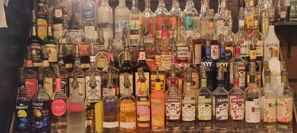 The Blind Pig by null