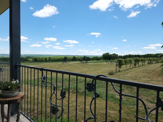 Hunt Country Vineyards by null