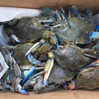 Billy's Seafood - Live Blues - Seafood Markets Near Me - Kill Devil Hills, North Carolina Billy's Seafood - Live Blues - Seafood Markets Near Me - Kill Devil Hills, North Carolina