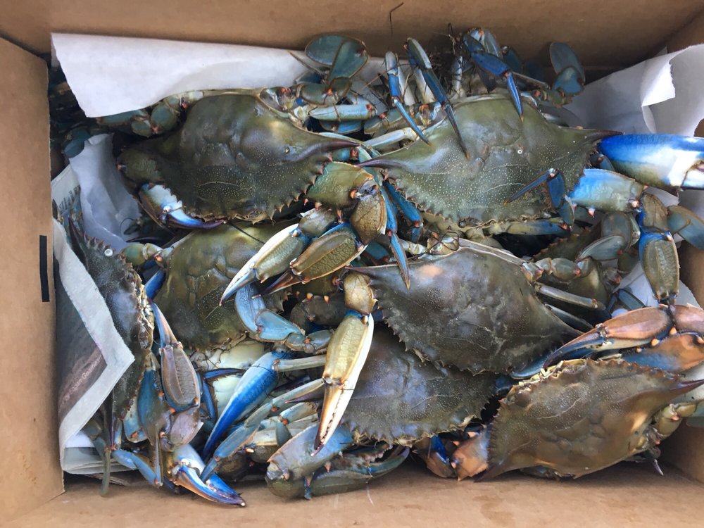 BILLY’S SEAFOOD 28 Photos & 64 Reviews Seafood Markets 1341