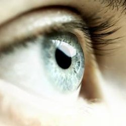David F Smith, MD - David F Smith MD Ophthalmologist