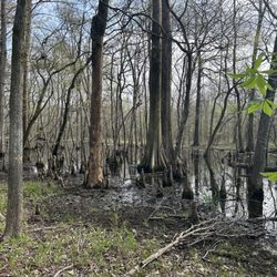 Poverty Point Reservoir State Park - Hard-bottom trail
