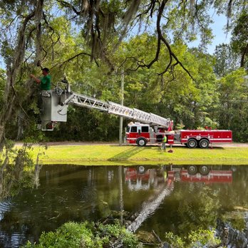 ProGreen Services - Lawn Services Near Me - Jacksonville, Florida ProGreen Services - Lawn Services Near Me - Jacksonville, Florida
