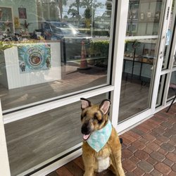 Palm Beach Doggie Bags - Guard dog LOL