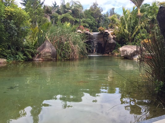 The Lost Spring by null