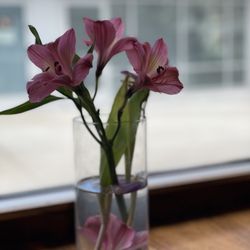 The Yard - Newark - Flower bomb, let me guess your favorite...