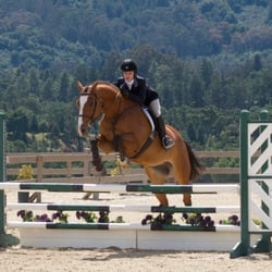 Jan Pearce Training - Woodside show series 2014