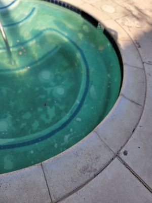 La Pacifica Apartments by null