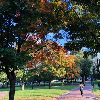 Boston Common - A park with trees showing autumn colors, a brick pathway, and people walking, under a clear blue sky. - Parks Near Me - Boston, Massachusetts