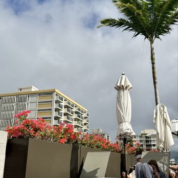 Swell Restaurant and Pool Bar - Bars Near Me - Honolulu, Hawaii Swell Restaurant and Pool Bar - Bars Near Me - Honolulu, Hawaii