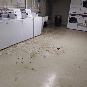 Scenic Tree Apartments - Laundry room flooded - Apartments Near Me - Palos Hills, Illinois Scenic Tree Apartments - Laundry room flooded - Apartments Near Me - Palos Hills, Illinois