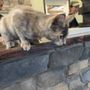 Wild Haven Animal Experience