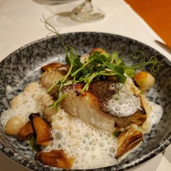 MM Hotels - Restaurant "M" - This cod was so fresh and sitting on a suprise of some kind of fresh green puree, phenomenal! 15 out of 10!