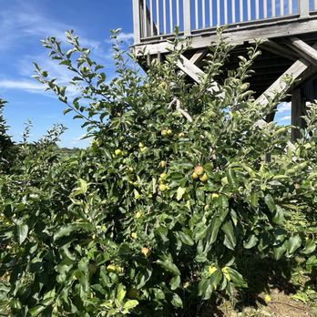 Carter Hill Orchard - Fruits & Veggies Near Me - Concord, New Hampshire