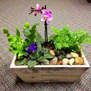 Graci's Flowers - Florists Near Me - Selinsgrove, Pennsylvania Graci's Flowers - Florists Near Me - Selinsgrove, Pennsylvania