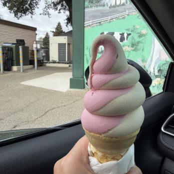 Meadowlark Dairy - Strawberry vanilla swirl - Ice Cream & Frozen Yogurt Near Me - Pleasanton, California Meadowlark Dairy - Strawberry vanilla swirl - Ice Cream & Frozen Yogurt Near Me - Pleasanton, California