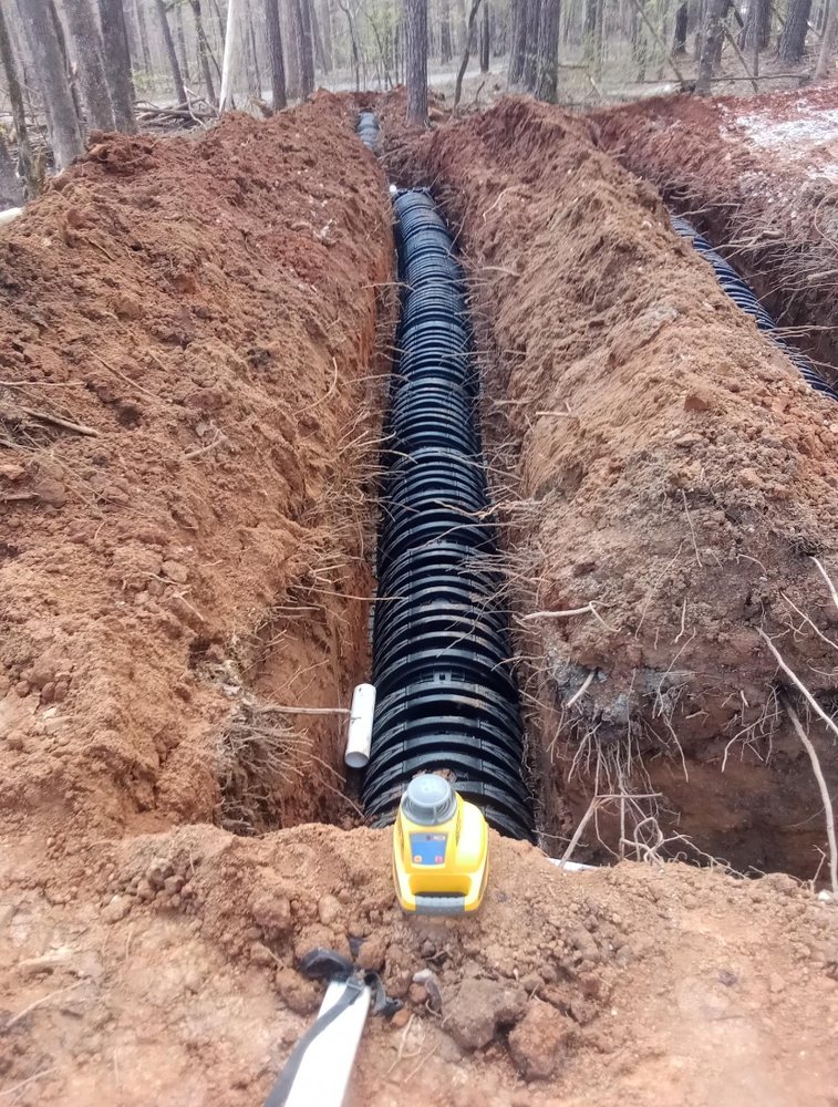 Slide of Septic by Cameron