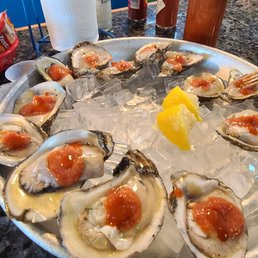 Oysters on the Half Shell