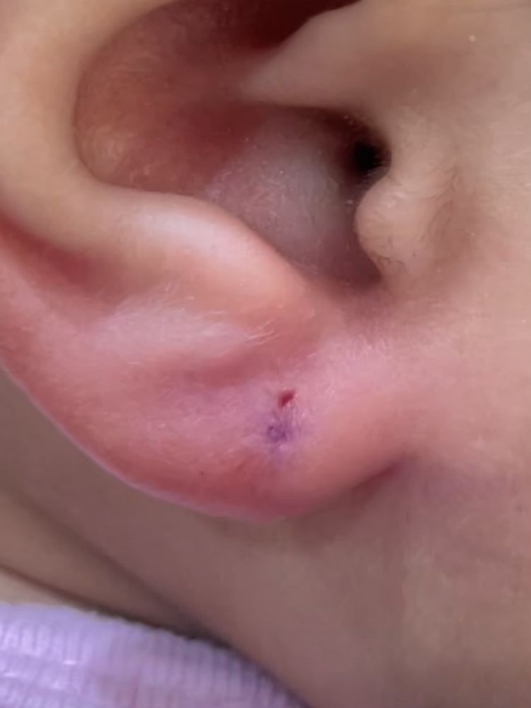 PIERCING PAGODA 30 Mall Dr W, Jersey City, New Jersey Jewelry