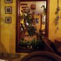 Photo of Cantaritos Café