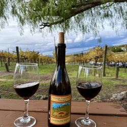 Tenuta Vineyards
