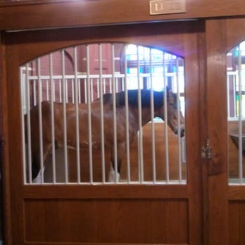 Budweiser Brewery Experience - One of the clydesdales - Beer Tours Near Me - Saint Louis, Missouri Budweiser Brewery Experience - One of the clydesdales - Beer Tours Near Me - Saint Louis, Missouri