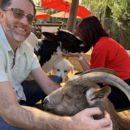 All the animals to give love to! All the animals to give love to!