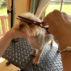Kiki’s Pets Boutique