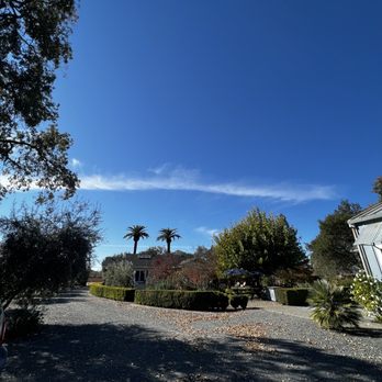 Starlite Vineyards - Property - Wineries Near Me - Geyserville, California Starlite Vineyards - Property - Wineries Near Me - Geyserville, California