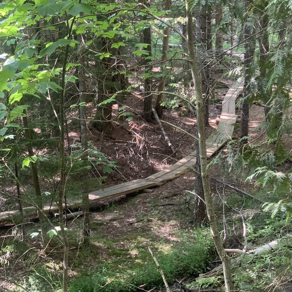 Jordan Stream Path - Boardwalk along Jordan Stream - Parks Near Me - ME, Maine