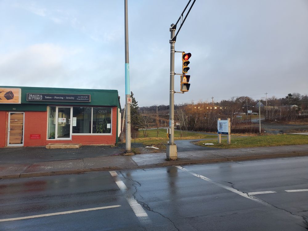 DRAGON & BUTTERFLY TATTOO - Updated January 2026 - 16 Reviews - 143 ...