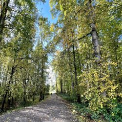 Cottonwood Beach - The path to the water