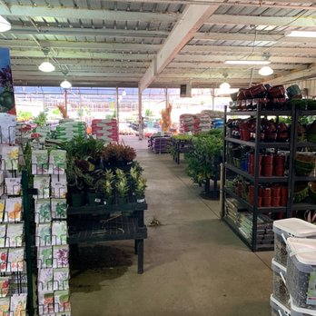 Calloway's Nursery - Nurseries & Gardening Near Me - Dallas, Texas