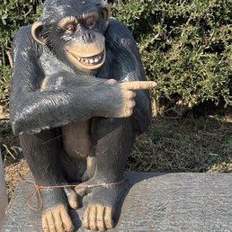Monkey shines...